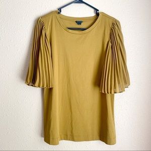 Ann Taylor cheer pleated sleeves toop